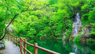 河南魯山天龍池匠心打造“綠野仙蹤”，還原五指山下孫悟空