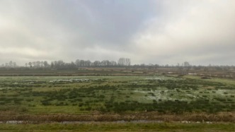 在弗里斯兰寻找历史