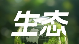 美國夏威夷：清理前年野火垃圾需50輛卡車運5個月