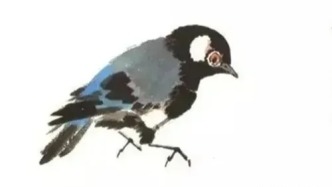 鸣禽画谱之白脸山雀