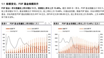 公募FOF2025年中觀察：多家基金公司FOF產品業績穩健攀升
