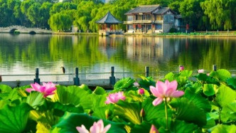 每日开行！乘“齐鲁1号”畅游山东