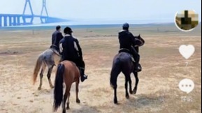 江西首例！鄱陽湖馬踏濕地民事公益訴訟案開庭