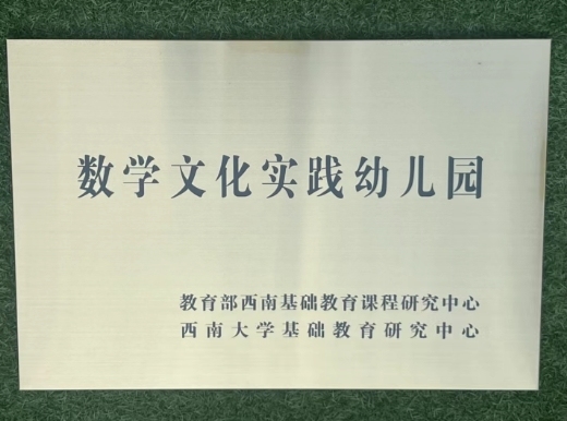 数学文化教学研讨会_幼儿数学认知核心素养_幼儿园数学活动教案