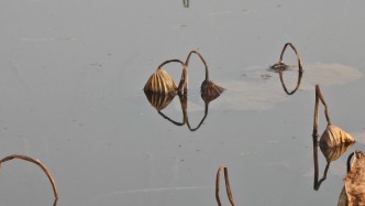 唐睢不辱使命的凛然正气