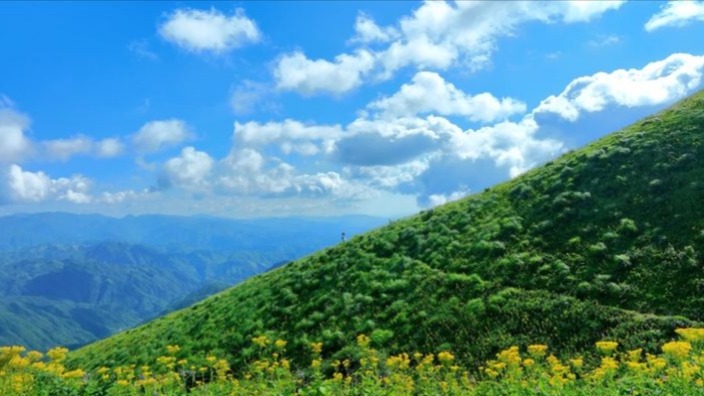 青山綠水,白草紅葉黃花海公園