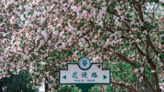 這些高校官宣：擴招