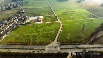 【城里鄉間新畫卷】崇州市：打好創新組合拳 激發農業發展新動能