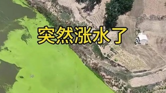 河南南陽(yáng)回應(yīng)“澗河水污染”：屬實(shí)，全面查找污染根源