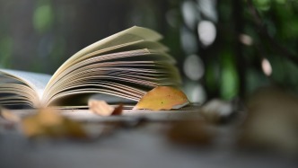 能否既支持解除合同又駁回退還影片投資款的請求？