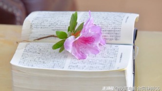 簽約前達成合意但書面合同未作約定，合意是否有法律效力？