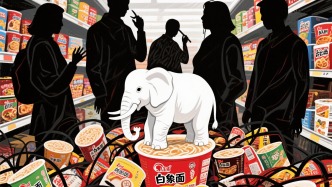 數讀“白象”：增速放緩之后