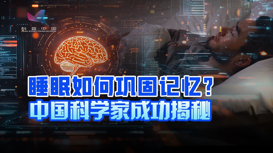记忆在睡眠中如何被加工保存？中国科学家拍“高清电影”揭秘