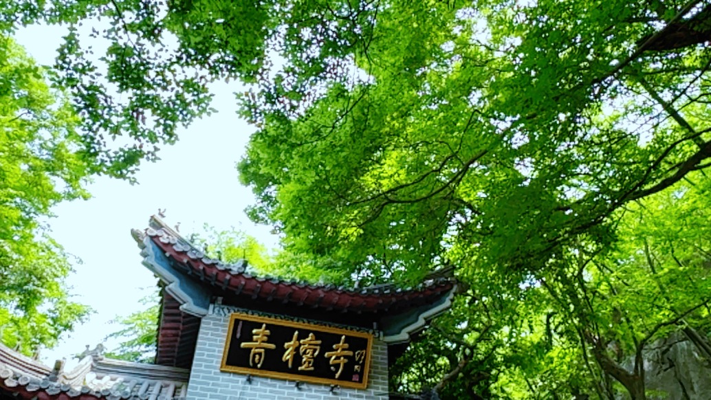 嶧州印象 | 夏，且夏著