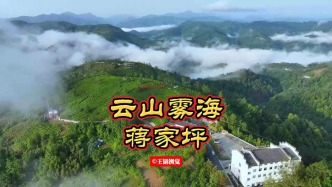 陜南平利：云山霧海蔣家坪