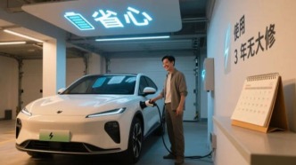 这届年轻人不再买“年抛电车”了？