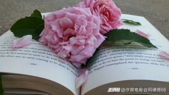 合同約定在某種條件成就時自動解除，未經通知合同是否能自動解除？