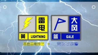 本市雷電、大風“一黃一藍”預(yù)警高掛！注意防范！