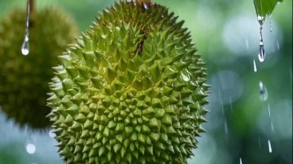 數(shù)說(shuō)榴蓮：中國(guó)吃貨如何“啃出”千億生意？