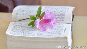 除要約承諾外，合同還有哪些訂立方式？