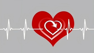 中國科學家培育人——豬嵌合心臟，器官移植迎來新進展