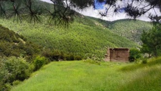 【散文】月夜独白‖李红梅