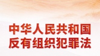 一起来学习《反有组织犯罪法》