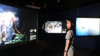 震撼！神奇生物登陸桂城！打卡自然影像“奧斯卡”展