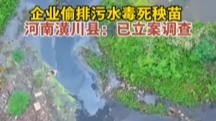 河南一企業(yè)偷排致河水污染 負(fù)責(zé)人已被控制