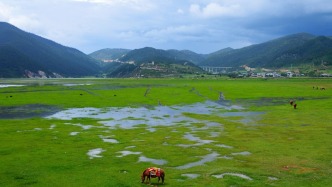 見證，土地與變遷——寫在第三十五個(gè)全國“土地日”之際