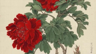 画牡丹要艳避俗·淡求雅