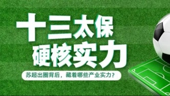 苏超出圈，这些硬核产业才是“十三太保”的底气！