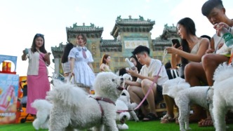 创新消费场景，宠物经济热潮涌动