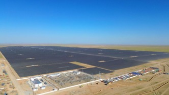 石榴花又開(kāi)——中國(guó)－中亞合作高質(zhì)量發(fā)展譜新篇