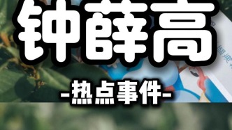 從網紅頂流到跌落神壇，鐘薛高冤不冤？