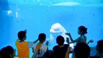 七月好去处丨盛夏狂欢指南！速来烟台好玩到开挂