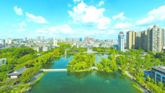 【散文】樟树生香‖周太舸 