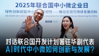 独家对话联合国开发计划署驻华副代表：AI时代中小微如何创新发展？