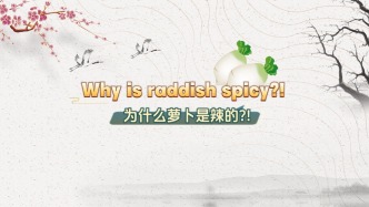 為什么蘿卜是辣的？