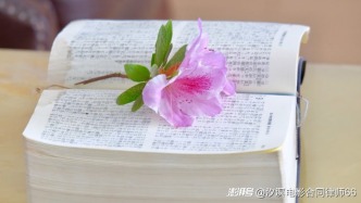 基于同一合同互负债务，一方转让后另一方能否向受让方主张抵销？