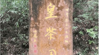 【茶文化】蒙顶山寻茶记‖赵良冶 