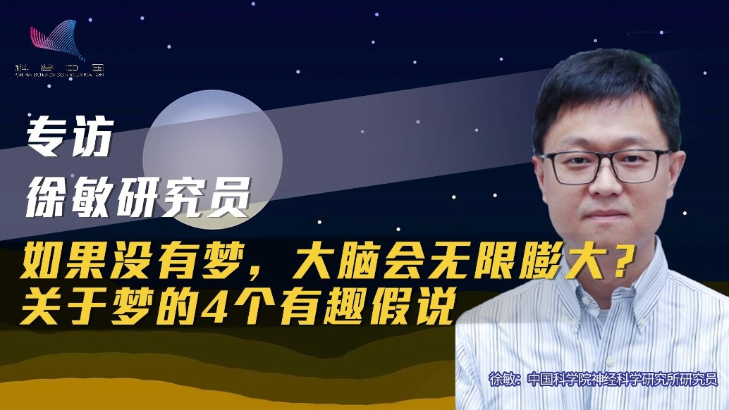 如果没有梦，大脑会无限膨大？关于梦的四个假说
