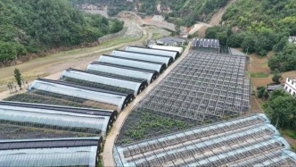 大山深處有親眷