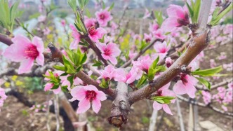 家長的正確夸獎讓孩子自信成長（二）