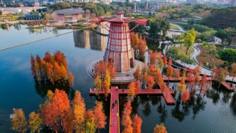 重磅！桂城治水有“大動(dòng)作”！