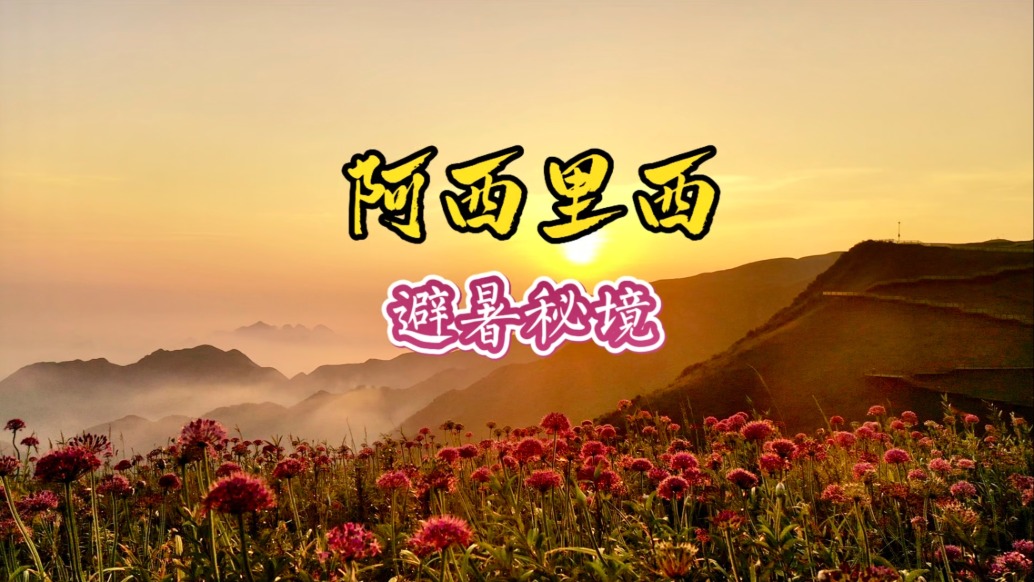 避暑貴州阿西里西：紫色云海邂逅，云端草原撒野