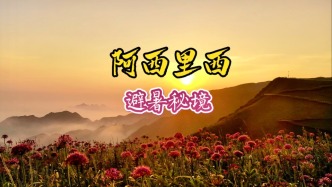 避暑貴州阿西里西：紫色云海邂逅，云端草原撒野