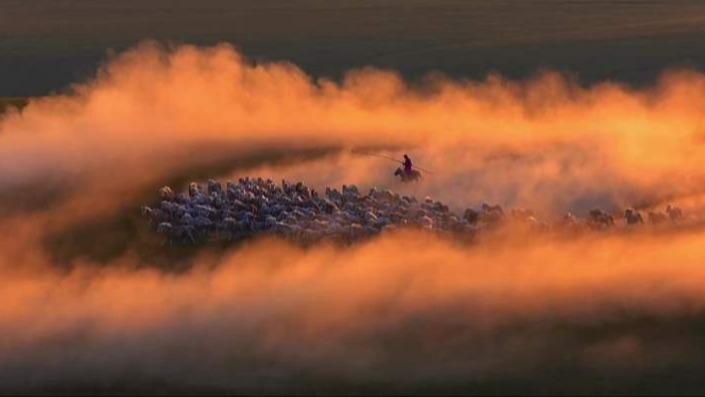三十而驪，驪色駿馬，飛云踏海