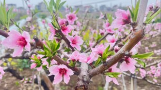 家長的正確夸獎讓孩子自信成長（三）