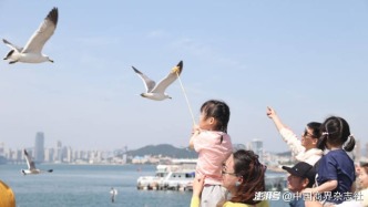 民俗游、入境游、小城游齐发力，上半年文旅市场多点开花